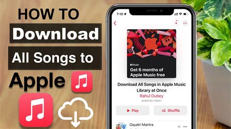 how to download all apple music at once: exploring the depths of your Apple Music library